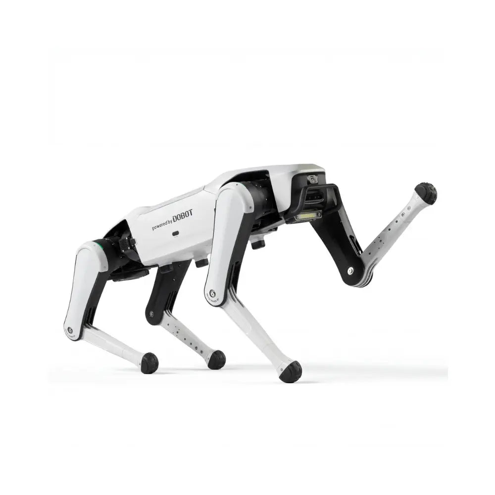 Dobot Rover X1 Explorer Sentinel
