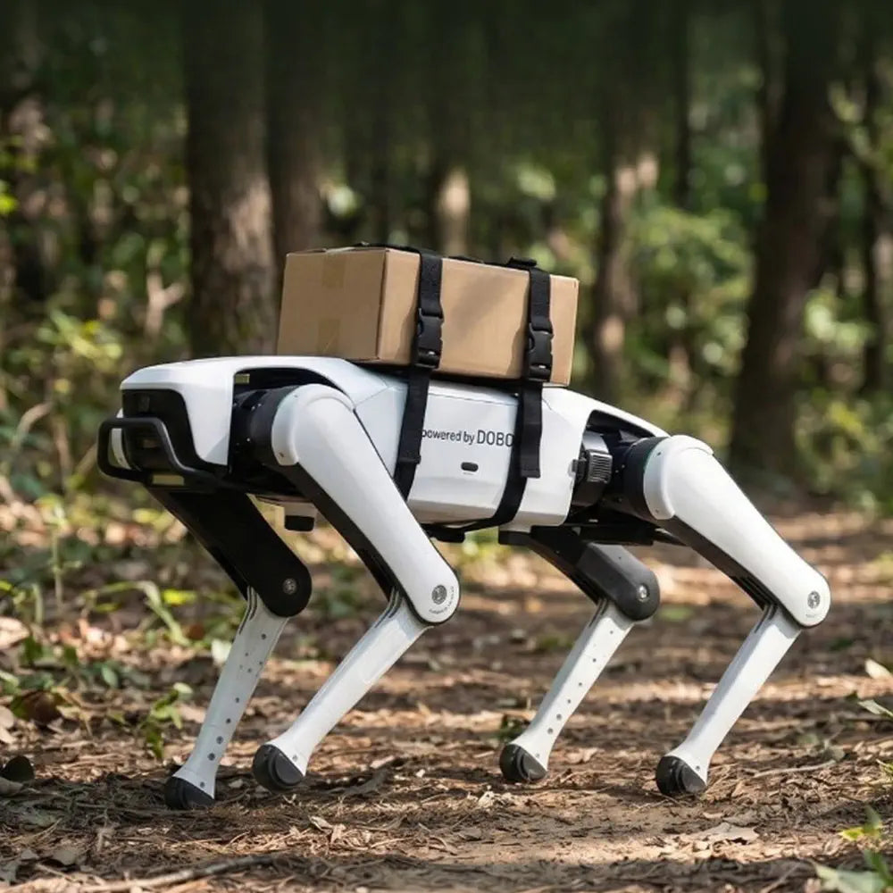 Dobot Rover X1 Explorer Sentinel